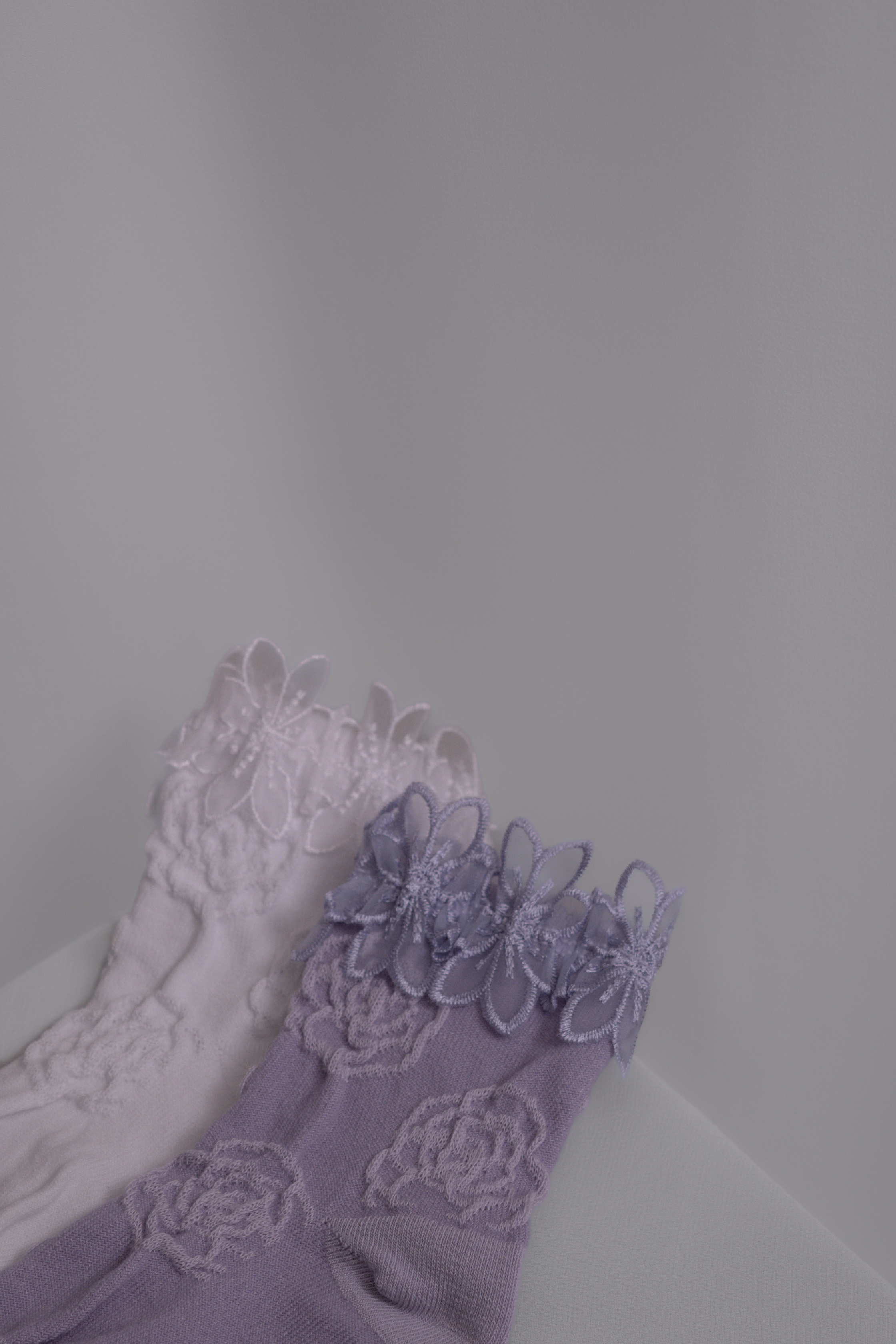 ANNA SUI ⟡ 花花蕾絲襪